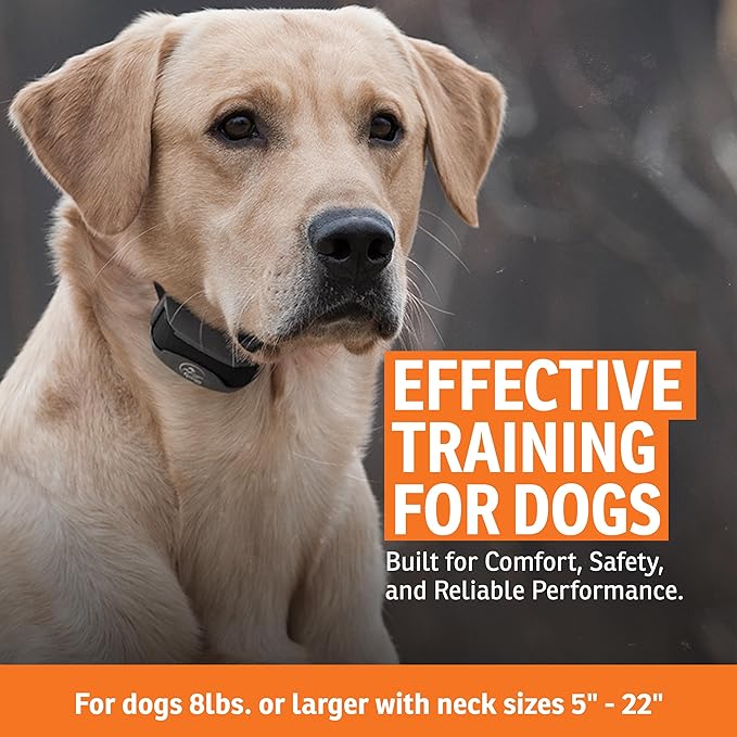 SportDOG SportTrainer Remote Trainer - Reliable Off-Leash Control - OLED Screen - Waterproof Dog Training Collar - Rechargeable E-Collar - 1/2 Mile-Range - Black