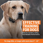 SportDOG SportTrainer Remote Trainer - Reliable Off-Leash Control - OLED Screen - Waterproof Dog Training Collar - Rechargeable E-Collar - 1/2 Mile-Range - Black