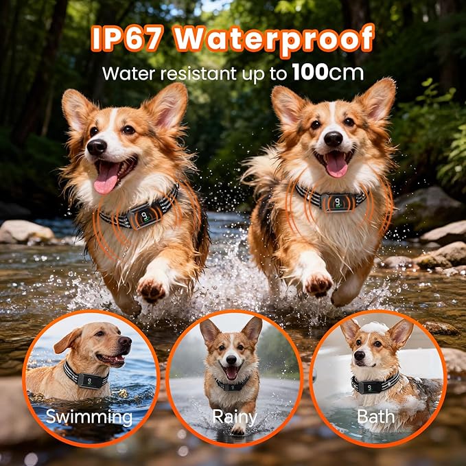 Small Shock Collar for Small Dogs，1300FT Dog Training Collar with Remote，4 Training Modes - IP67 Waterproof Rechargeable, Beep, Vibration, Safe Shock, IR for Small & Medium Dogs(5-30Lbs，Green)
