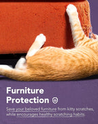 Lukamoo® Cat Scratching Pad, Wall Mounted Scratcher for Indoor Cats (Medium (24'' x 16'')) (Black Cat)