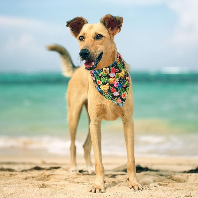 ADOGGYGO Summer Hawaii Dog Bandana, 6 Pack Flamingo & Fruit Pattern Triangle Summer Bandanas for Medium Large Dogs Pets (Large)