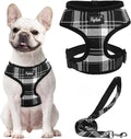 PUPTECK Soft Mesh Dog Harness and Leash Set Pet Puppy Cat Comfort Padded Vest No Pull Harnesses, Black, XL