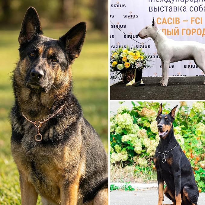 Heavy Duty Dog Choke Collar Slip Dog P Chain Snake Collar Plating Anti-Rust Dog Training Collars for Small Large Dogs Black/Gold/Silver/Rose Gold 15.5in-29.5in (21.5in, Silver)