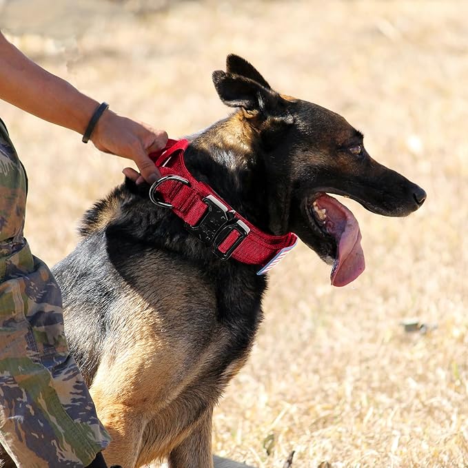 Tactical Dog Collar and Bungee Leash,Military & Leash Set with USA American Flag Adjustable K9 Heavy Duty Metal Buckle Handle,with Patches Airtags Case (XL, Red(1PCS))