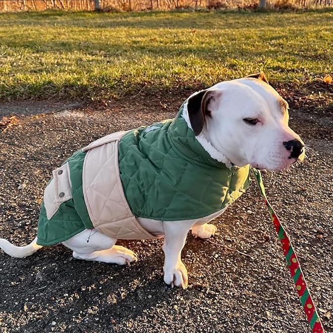 KYEESE Dog Coat Soft Pet Sweater for Cold Weather Windproof Dog Coats for Small Dogs Waterproof Dogs Jacket with Fleece Lined Warm Pet Winter Puffer Coat with Leash Hole Thick Pets Clothes with Pocket