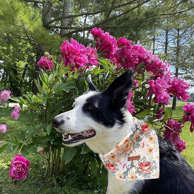 Elegant Little Tail Vintage Flower Dog Bandana - Washable Square Dog Scarf - Adjustable Size Small, Medium, Large - For Girls and Boys