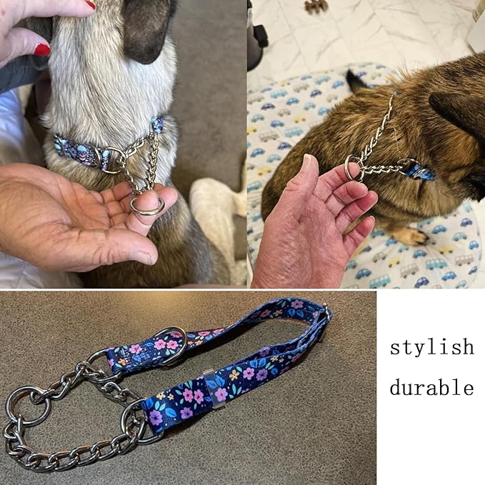 Martingale Collar for Dogs,Stainless Steel Choke Collar for Dogs,Training Escape Proof Heavy Duty Dog Choker No Pull Dog Collar for Medium Large Pet Boy Male Dogs, Skull M