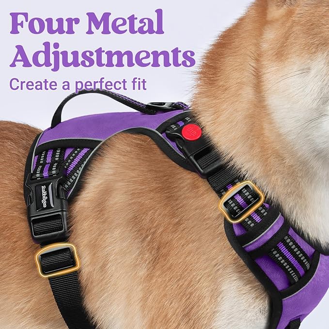 rabbitgoo Dog Harness Medium Sized, No Pull Pet Harness with Soft Padded Handle, Adjustable Reflective Vest with 3 Buckles, Easy Walking Harness with 2 Leash Clips, Purple, XL