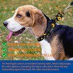 Kazazoo Martingale Collar for Dogs with Quick Release Buckle Adjustable Soft Durable Dog Collar for Small Medium Large No Pull Training Dog Collars-Black Sunflower L