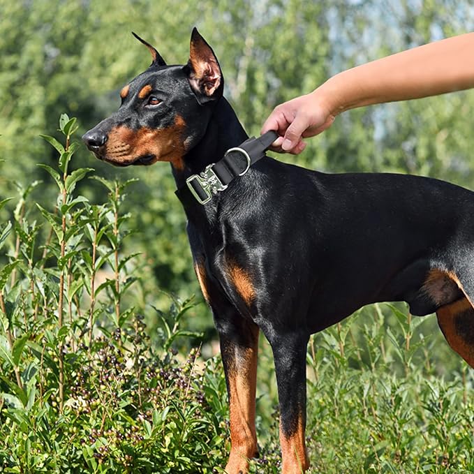 Tactical Dog Collar, 1.5" Wide Thick Heavy Duty Dog Collar with Handle, Soft Neoprene Padded Military-Grade Nylon Training Collar with Quick Release Metal Buckle for Medium Dogs(Black, M)
