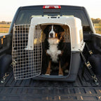 SportPet Airline Compliant XX-LARGE 36" Travel Dog Kennel-Durable Plastic Airline Pet Carrier w/ Removable Wheels & Food Bowls, Collapsible Indoor/Outdoor Dog Kennel, Dogs up to 36"L & 27"H-Cream/Gray