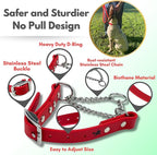 Martingale Collar for Dogs, Biothane, Stainless Steel Hardware, No Pull, Made in The USA, Professional Grade, XS, Red