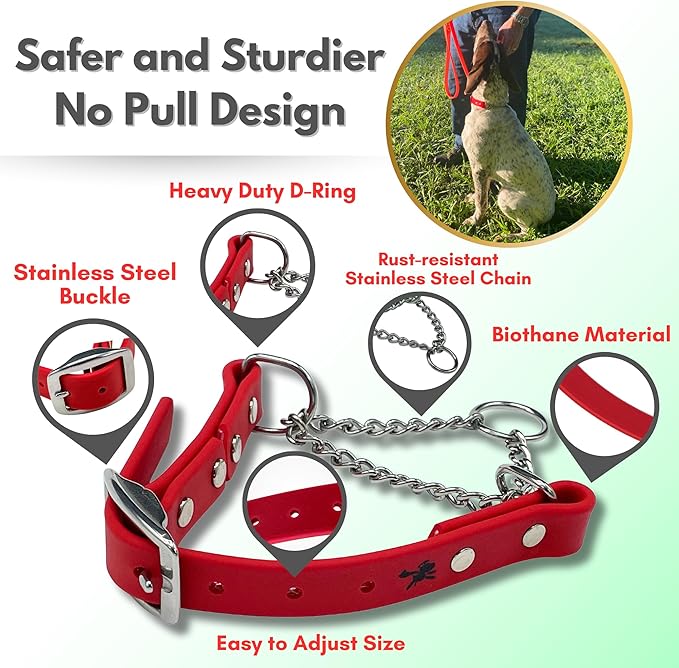 Martingale Collar for Dogs, Biothane, Stainless Steel Hardware, No Pull, Made in The USA, Professional Grade, Medium, Red