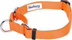 Blueberry Pet Essentials Martingale Safety Training Dog Collar, Florence Orange, Small, Heavy Duty Nylon Adjustable Collars for Dogs