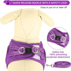 YIMEIS Dog Harness and Leash Set, No Pull Soft Mesh Pet Harness, Reflective Adjustable Puppy Vest for Small Medium Large Dogs, Cats (Purple, Medium (Pack of 1)