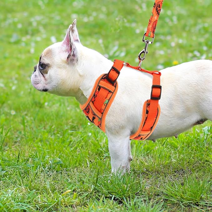 PUPTECK Halloween Small Dog Harness and Leash Set, No Pull Adjustable Puppy Cat Harness, Reflective Soft Mesh Pet Vest Small Sized, Pumpkin, M