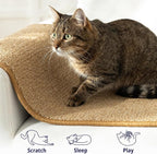 Cat Wall Climbing Carpet - Cat Wall Climber 50" x 17" with Fixed Nails – Scratching Rug Wall Scratchers for Indoor Cats | Climbing Wall Carpet | Scratching Mat.