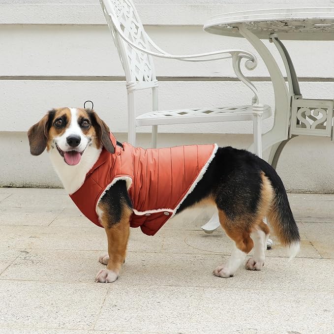 Fleece Lining Dog Hoodie with Harness Built in,Extra Warm Small Dog Jacket in Winter Puppy Coats with Drawstring Hooded,Orange M