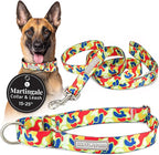 Lucky Love Dog Martingale Dog Collar & Leash - Adjustable, No-Slip, Durable, Comfortable, Soft Webbing, & Stylish Patterned Collar & Leash Set for Male and Female Dogs - Oscar Combo, Large