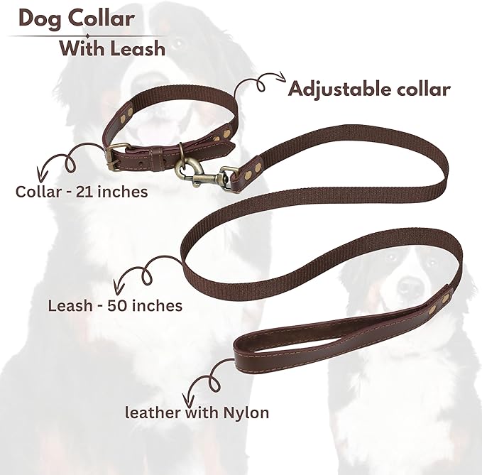 Heavy Duty Dog Collar and Leash Set for Large Dogs - Adjustable 21" Leather Nylon Collar with Durable 50" Leash, Metal Buckle & Handle - Training, Walking, Outdoor Pet Harness Combo for Big Breeds