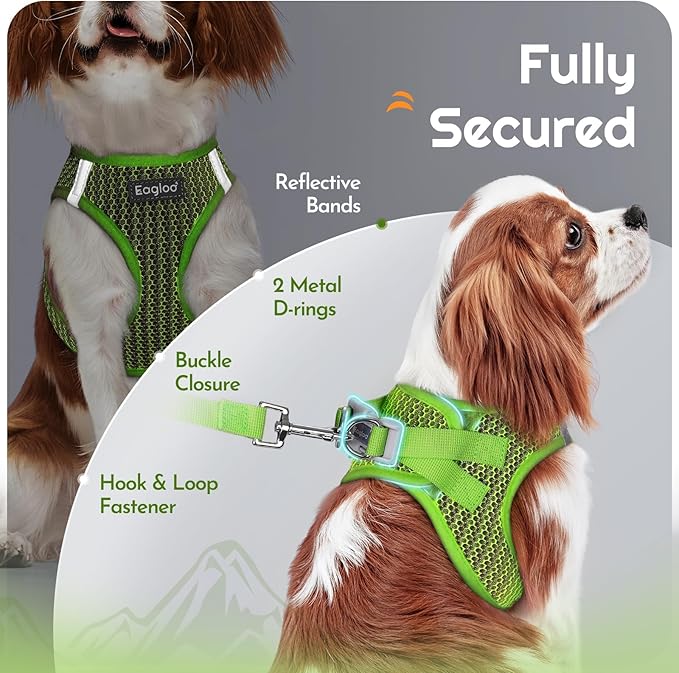 Eagloo Small Dog Harness and Leash Set, Step in Puppy Vest with Breathable Soft Mesh, Walking Reflective Pet Harness for Small Dogs, Green, XS