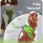 Eagloo Small Dog Harness and Leash Set, Step in Puppy Vest with Breathable Soft Mesh, Walking Reflective Pet Harness for Small Dogs, Green, S
