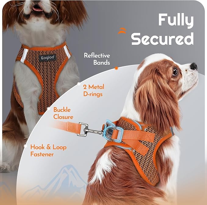 Eagloo Small Dog Harness and Leash Set, Step in Puppy Vest with Breathable Soft Mesh, Walking Reflective Pet Harness for Small Dogs, Orange, XS