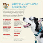 Country Brook Petz - Martingale Dog Collar - Heavy-Duty Training Collar with No Buckle - Service Dog Collar for All Pups - 10+ Cool Colors (Teal, 1 Inch, Large)