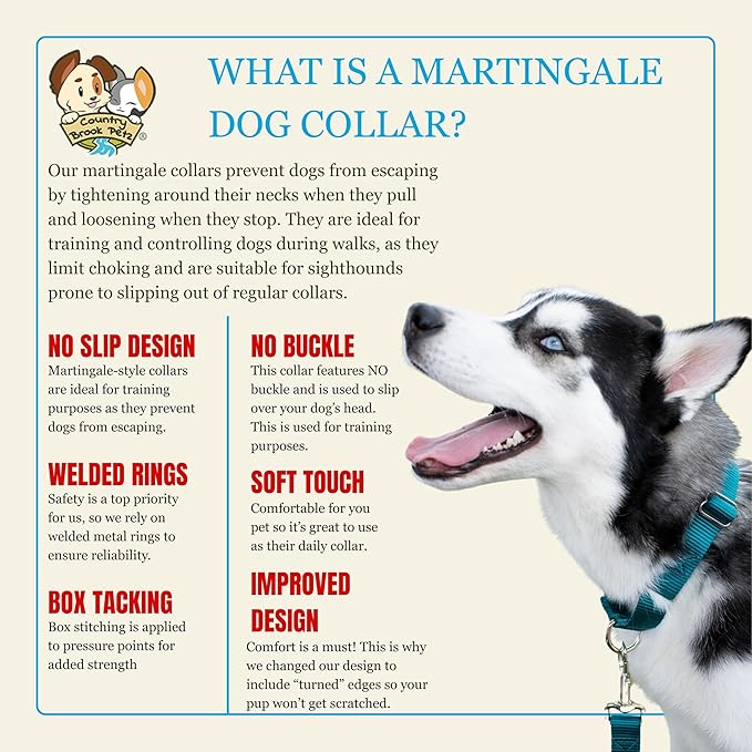 Country Brook Petz - Martingale Dog Collar - Heavy-Duty Training Collar with No Buckle - Service Dog Collar for All Pups - 10+ Cool Colors (Teal, 1 Inch, Medium)