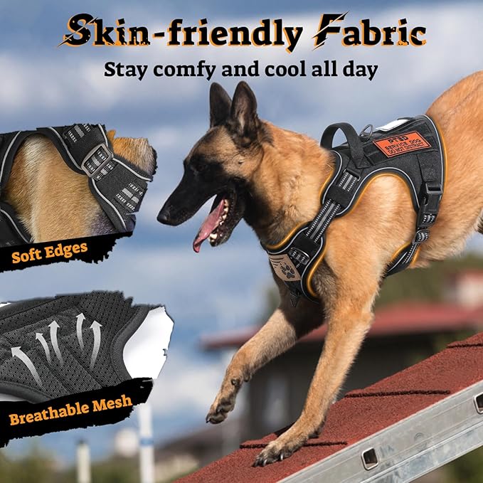 rabbitgoo Dog Harness Small Sized No Pull, Tactical Service Pet Vest with Molle and Control Handle, Adjustable and Reflective Military Harness for Easy Walking and Training, Black, S
