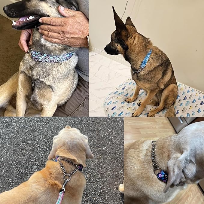 Martingale Dog Collar for Medium Dogs,Choke Collar for Dogs,Choke Chain for Dogs,Training Proof Heavy Duty Dog No Pull Dog Collar for Medium Large Pet Boy Male Dogs, Blue Plaid M