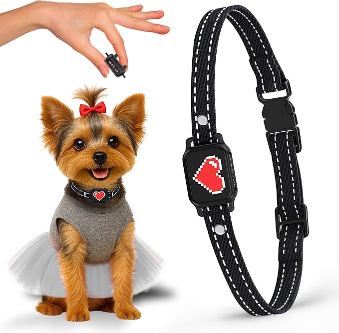 Bark Collar for Small Dogs 5-15 lbs with Magnetic Charging – No Shock, 3 Beep & Vibration Modes, 5 Sensitivity Levels – Humane Stop Anti-Barking Device – Dog Training Bark Collar (Black/Red Heart)