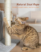 Cat Tree for Large Cat, 20.9 * 15.7in Large Perch Bed for Adult Cats, 22.8in Cat Tower with Scratching Post, Cat Condo with 2-Door for Indoor Cats, Light Gray