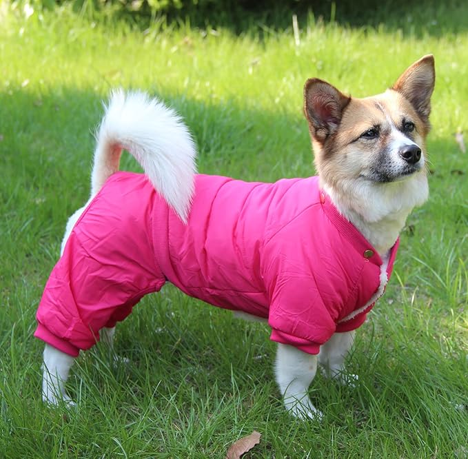Fleece Lined Dog Coat with Detachable Hood and Detachable Hind Legs,Warm Puppy Jacket in Winter(Pink L)