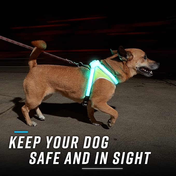 Noxgear LightHound (Large) + Wrist Light – Illuminated and Reflective Harness for Dogs Including Multicolored LED Fiber Optics (USB Rechargeable, Adjustable, Lightweight, Rainproof)