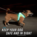 Noxgear LightHound (Large) + High-Visibility Dog Leash – Illuminated and Reflective Harness for Dogs Including Multicolored LED Fiber Optics (USB Rechargeable, Adjustable, Lightweight, Rainproof)