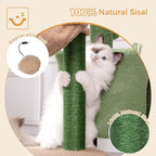 Cactus Cat Tree Small Cat Tower with 32 Inches Scratching Post with Cats Condo House, Cozy Hammock and Removable Top Bed and Dangling Ball for Indoor Cats-34” Green