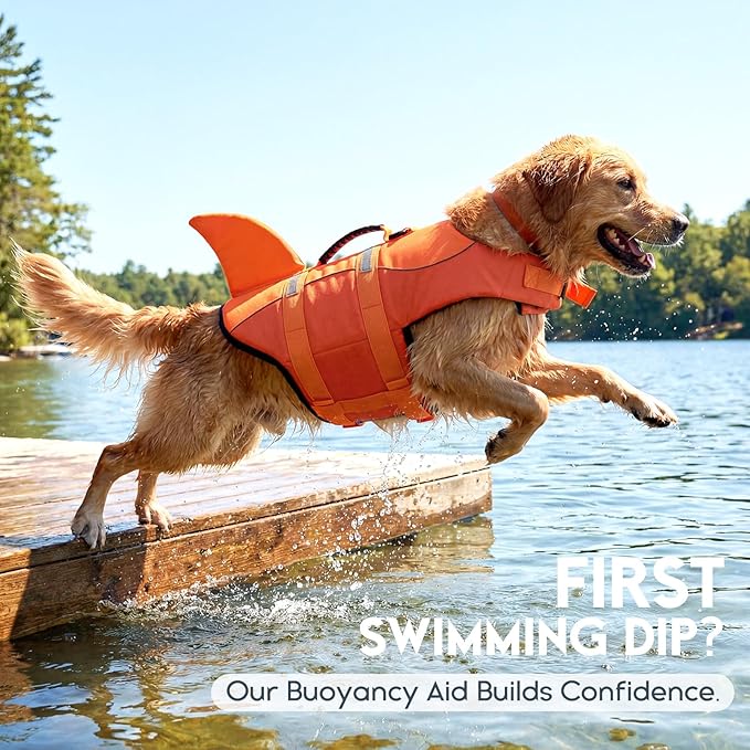 ASENKU Dog Life Jacket - Pet Safety Vest for Swimming & Boating, Shark Life Jacket with Floatation, Dog Lifesavers Swimsuits for Small Medium Large Dogs (OrangeMix, L)