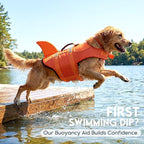 ASENKU Dog Life Jacket - Pet Safety Vest for Swimming & Boating, Shark Life Jacket with Floatation, Dog Lifesavers Swimsuits for Small Medium Large Dogs (OrangeMix, L)