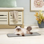 SAFAVIEH Cat Scratch Mat Pad Collection, 10" x 24", Gray, Boucle Weave, Velcro & Slip Resistant Backing