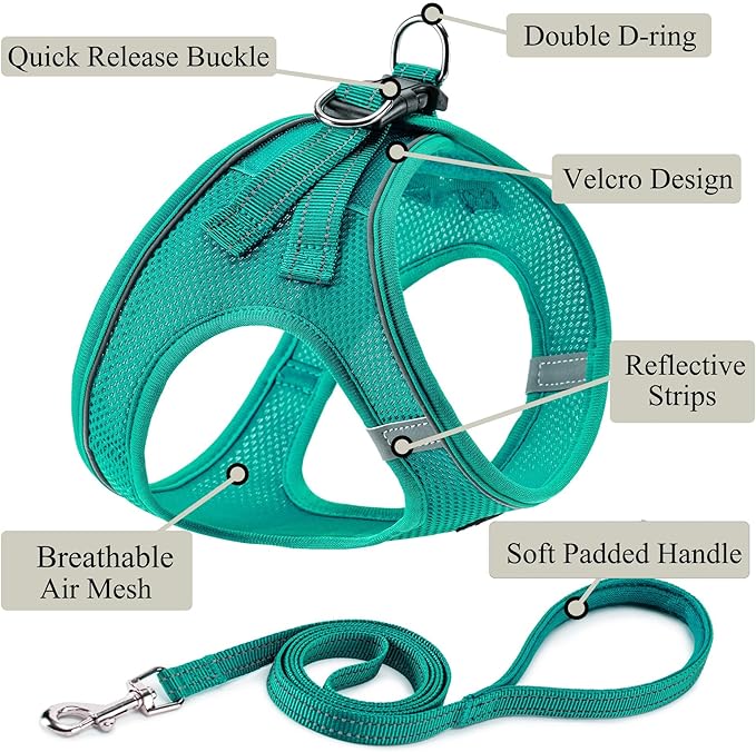 Dog Harness with Leash Set, No Pull Adjustable Reflective Step-in Puppy Pet Vest Harnesses for Small Medium Large Dogs and Cats,Forest Green XL