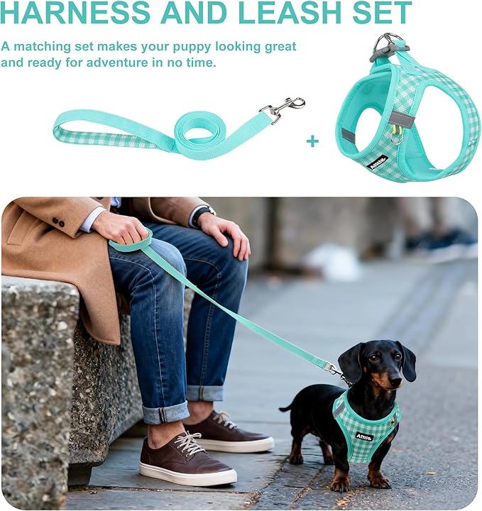 AIITLE Adjustable Dog Harness and Leash Set, Step in No Pull Pet Harness, Soft Mesh Reflective Plaid Vest Harnesses for Small Dogs Puppy and House Cats Outdoor Walking Running Turquoise XS