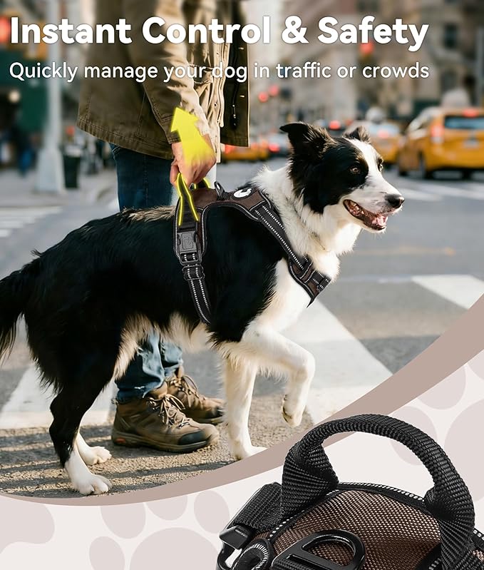 Joytale No Pull Dog Harness for Small Dogs, Reflective Pet Vest with Front Clip, Adjustable Soft Padded Harnesses with Easy Control Handle for Training and Walking, Brown, S