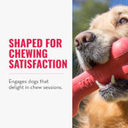 KONG Goodie Bone - Classic Durable Natural Rubber Dog Bone, Supports Mental Engagement - Treat Dispensing - Red - for Large Dogs