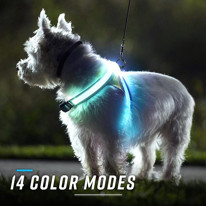 Noxgear LightHound - Revolutionary Illuminated and Reflective Vest for Dogs Including Multicolored LED Fiber Optics (USB Rechargeable, Adjustable, Lightweight, Rainproof) (Medium)