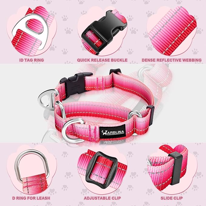 Martingale Collar for Dogs Large Medium Small Heavy Duty Buckle Dog Collar with Tag Ring Reflective Nylon Gradient Dog Collar No Pull Training Collar