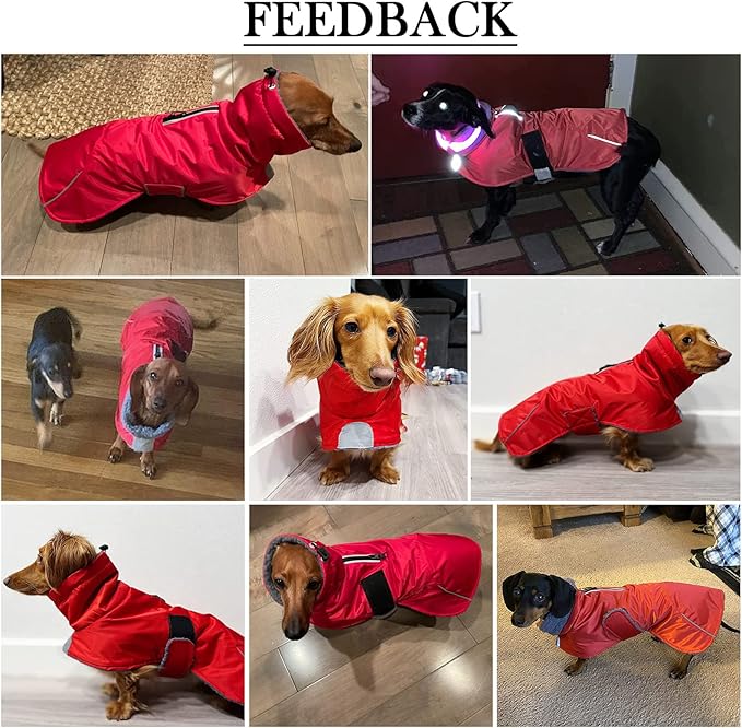 Dachshund Coats Waterproof Suitable for Dachshunds Weiner Dog Winter Coat with Fleece Puppy Snowsuit with Adjustable Bands Reflective Stripe Navy Small