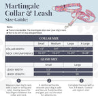 Lucky Love Dog Martingale Dog Collar & Leash - Adjustable, No-Slip, Durable, Comfortable, Soft Webbing, & Stylish Patterned Collar & Leash Set for Male and Female Dogs - Rosie Combo, Medium
