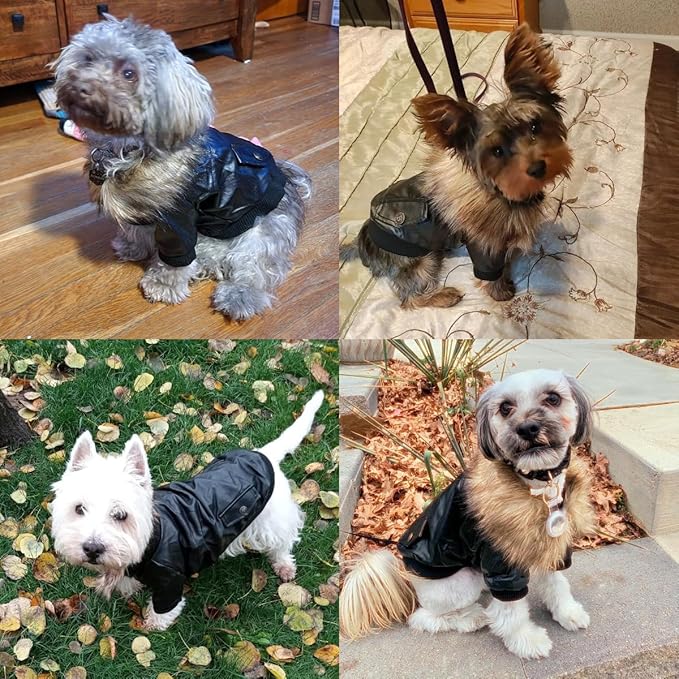 LESYPET Dog Leather Jacket for Small Dogs, Waterproof Dog Winter Jacket Puppy Coat with Fleece Lined, Ultra Warm Fur Collar Doggie Coat, Black L