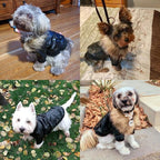 LESYPET Dog Leather Jacket for Small Dogs, Waterproof Dog Winter Jacket Puppy Coat with Fleece Lined, Ultra Warm Fur Collar Doggie Coat, Black S